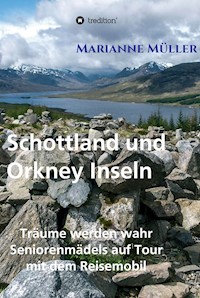 Träume werden wahr, Band 3 - Marianne Müller - ebook