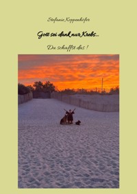 Gott sei dank nur Krebs - Stefanie Koppenhöfer - ebook