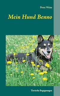 Mein Hund Benno - Petra Weise - ebook