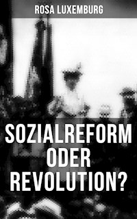 Sozialreform oder Revolution? - Rosa Luxemburg - ebook