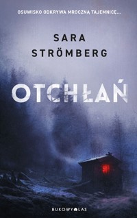 Otchłań. Śledztwa Very Bergström - Sara Strömberg - książka