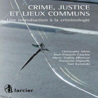 Crimes, justice et lieux communs - Christophe Adam - ebook