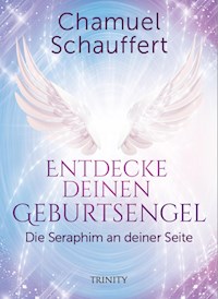 Entdecke deinen Geburtsengel - Chamuel Schauffert - ebook