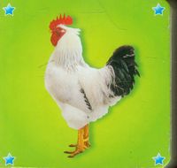 Kosteczka Kogut -  - książka