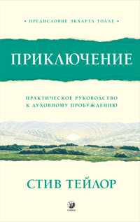 Приключение. Практическое руководство к духовному пробуждению. С предисловием Экхарта Толле - Стив Тейлор - ebook