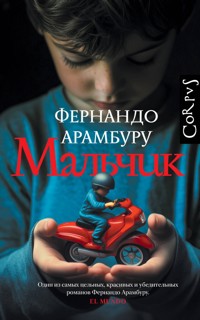 Мальчик - Fernando Aramburu - ebook