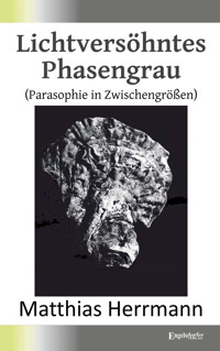 Lichtversöhntes Phasengrau - Matthias Herrmann - ebook