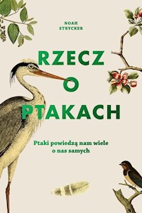 Rzecz o ptakach - Noah Strycker - ebook + audiobook + książka