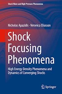 Shock Focusing Phenomena - Nicholas Apazidis - ebook