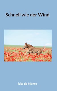 Schnell wie der Wind - Rita de Monte - ebook