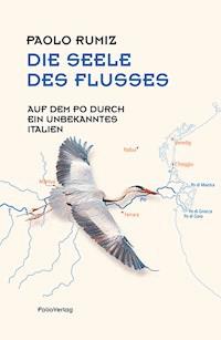 Die Seele des Flusses - Rumiz Paolo - ebook
