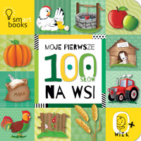 Moje pierwsze 100 słów. Na wsi - zbiorowa praca - książka