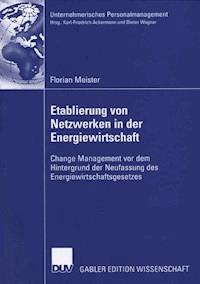 Etablierung von Netzwerken in der Energiewirtschaft - Florian Meister - ebook