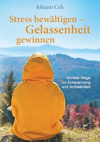 Stress bewältigen – Gelassenheit gewinnen - Johann Ceh - ebook
