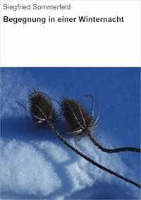 Begegnung in einer Winternacht - Siegfried Sommerfeld - ebook