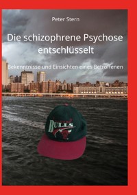 Die schizophrene Psychose entschlüsselt - Peter Stern - ebook