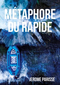 Métaphore du rapide - Jérôme Parisse - ebook