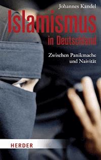 Islamismus in Deutschland - Johannes Kandel - ebook