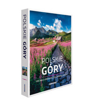 Polskie góry. - Flaczyńska Malwina, Flaczyńska Agnieszka, Flaczyński Artur - książka