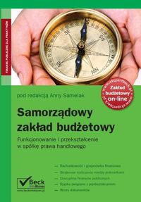 Samorządowy zakład budżetowy Funkcjonowanie i przekształcenie w spółkę prawa handlowego - Anna Samelak - książka