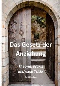 Das Gesetz der Anziehung - David Barfuss - ebook