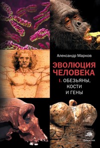 Эволюция человека. Кн. 1. Обезьяны, кости и гены - Александр Марков - ebook