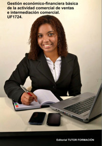 Gestión Económico-financiera Básica De La Actividad Comercial De Ventas E Intermediación Comercial. Uf1724. - Carmen Arenal Laza - ebook