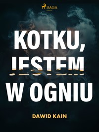 Kotku jestem w ogniu - Dawid Kain - ebook + audiobook