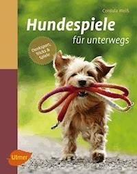 Hundespiele für unterwegs - Cordula Weiß - ebook
