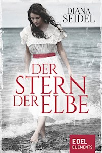 Der Stern der Elbe - Diana Seidel - ebook