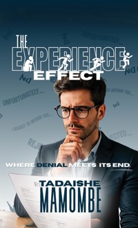 The Experience Effect - Tadaishe Mamombe - ebook