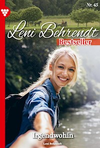 Irgendwohin - Leni Behrendt - ebook