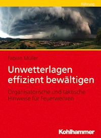Unwetterlagen effizient bewältigen - Fabian Müller - ebook