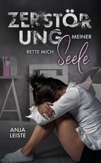 Zerstörung meiner Seele - Anja Leiste - ebook