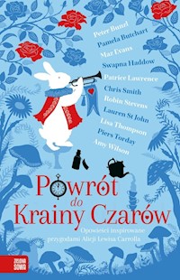 Powrót do Krainy Czarów - Butchart Pamela, Bunzl Peter - książka