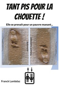 Tant pis pour la chouette ! - Franck Lambdaz - ebook