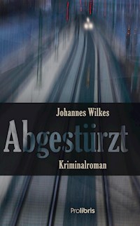Abgestürzt - Johannes Wilkes - ebook