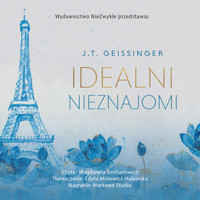 Idealni nieznajomi - J.T. Geissinger - ebook + audiobook + książka