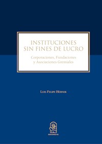 Instituciones sin fines de lucro - Luis Felipe Hûbner - ebook