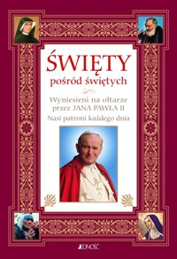 Święty pośród świętych. Wyniesieni na ołtarze przez Jana Pawła II. Nasi patroni każdego dnia - Hubert Wołącewicz - książka