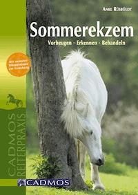 Sommerekzem - Anke Rüsbüldt - ebook