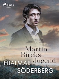 Martin Bircks Jugend - HJALMAR SÖDERBERG  - ebook