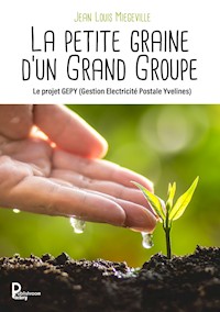 La petite graine d'un Grand Groupe - Jean Louis Miegeville - ebook
