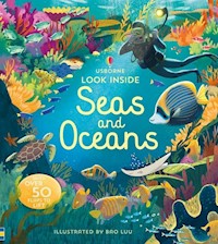 Look inside seas and oceans - Cullis Megan - książka