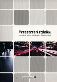 Przestrzeń zgiełku -  - książka