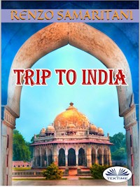 Trip To India - Renzo Samaritani - ebook