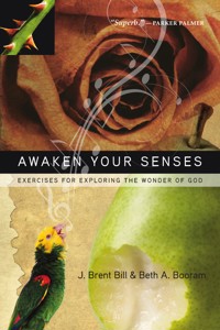 Awaken Your Senses - J. Brent Bill - ebook