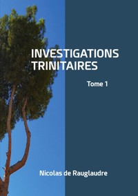 Investigations trinitaires - Nicolas de Rauglaudre - ebook