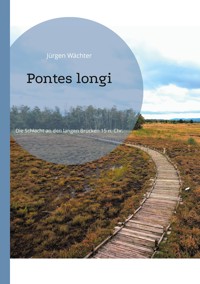 Pontes longi - Jürgen Wächter - ebook
