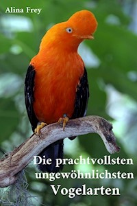 Die prachvollsten ungewöhnlichsten Vogelarten - Alina Frey - ebook